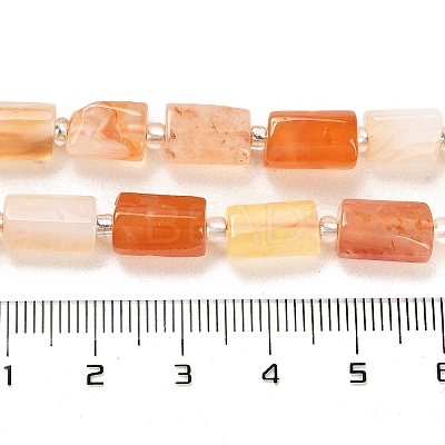 Natural Red Botswana Agate Beads Strands G-G068-A18-01-1