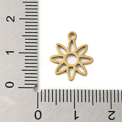 304 Stainless Steel Charms LS-STAS-S123-01G-10-1