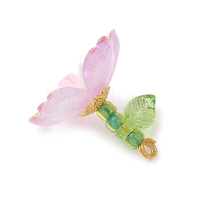 Transparent Acrylic Pendants PALLOY-MZ00822-04-1