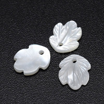 Leaf Natural White Shell Mother of Pearl Shell Charms SSHEL-E553-69-1