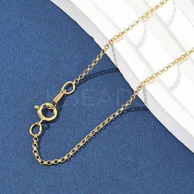1/20 14K Gold Filled Rolo Chain Necklaces for Women Men NJEW-Z068-09G-1
