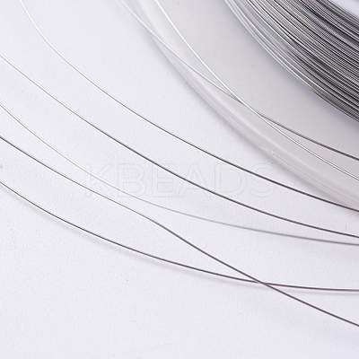 Steel Wire TWIR-E001-0.15mm-1