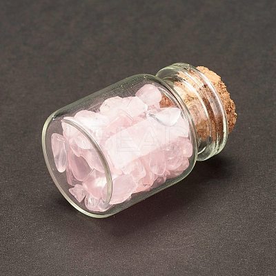 Transparent Glass Wishing Bottle Decoration DJEW-A001-01A-07-1