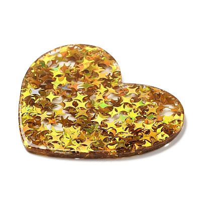 Acrylic with Paillettes Pendants LS-MACR-M028-02B-1