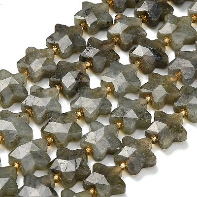 Natural Gray Labradorite Beads Strands G-L657-A02-01-1