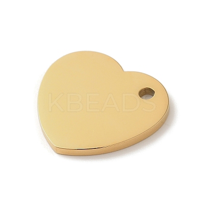 Ion Plating(IP) 304 Stainless Steel Pendants STAS-K270-05G-1