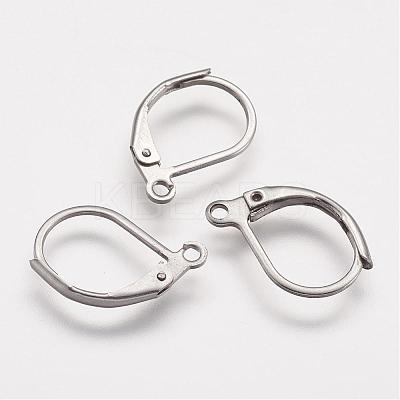 Tarnish Resistant 316 Surgical Stainless Steel Leverback Earring Findings STAS-P113-01-1