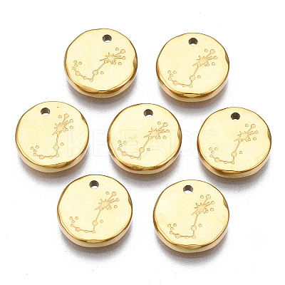 316 Surgical Stainless Steel Charms LS-STAS-S116-418J-G-1