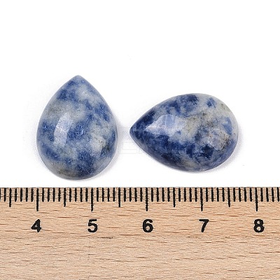 Natural Blue Spot Jasper Cabochons G-H094-01A-22-1