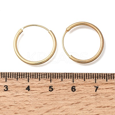 Brass Hoop Earrings EJEW-G474-01G-03-1