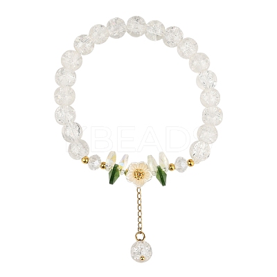 Glass Bead Charm Bracelets BJEW-YW00007-01-1