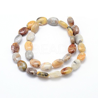 Natural Crazy Lace Agate Flat Oval Bead Strands G-M206-18-1