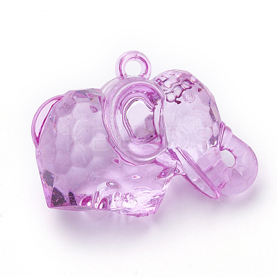 Transparent Acrylic Pendants TACR-T002-16-1