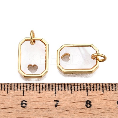 Brass & Shell Charms KK-N254-212G-1