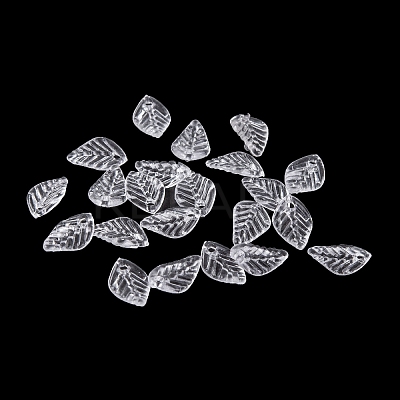 Transparent Acrylic Charms TACR-G050-02D-1