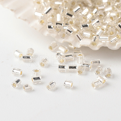 FGB Grade A Glass Seed Beads SEED-A023-F-H34-1