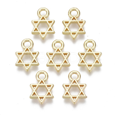 Alloy Charms X-PALLOY-S132-084-1