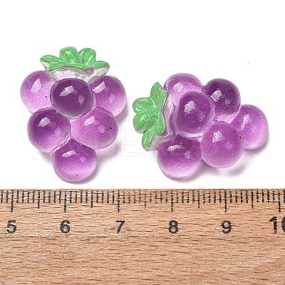 Fruit Theme Opaque Resin Imitation Food Cabochons RE-CBA49A8-03E-1
