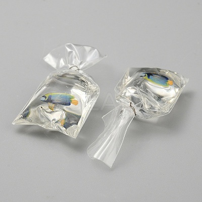 Transparent Resin Big Pendants RESI-TAC0024-01G-1
