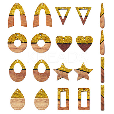20Pcs 10 Styles Opaque Resin & Walnut Wood Pendants RESI-TA0003-37-1