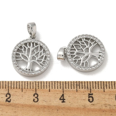 Brass Micro Pave Cubic Zirconia Pendents X-KK-R210-21P-01-1