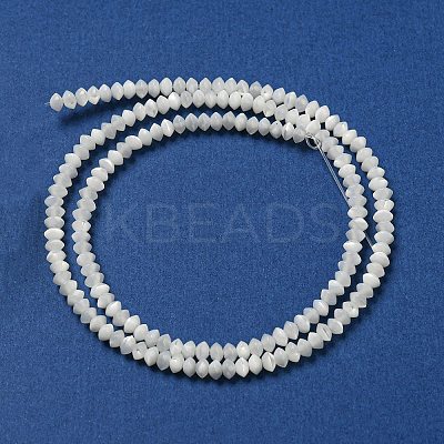 Natural Trochus Shell Rondelle Beads Strands SSHEL-H072-01B-1