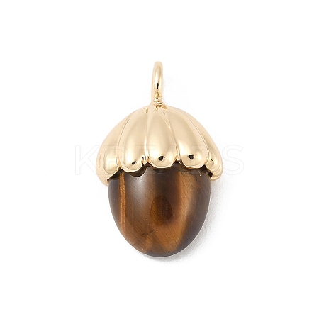 Natural Tiger Eye Pendants X-KK-Z107-02G-02-1