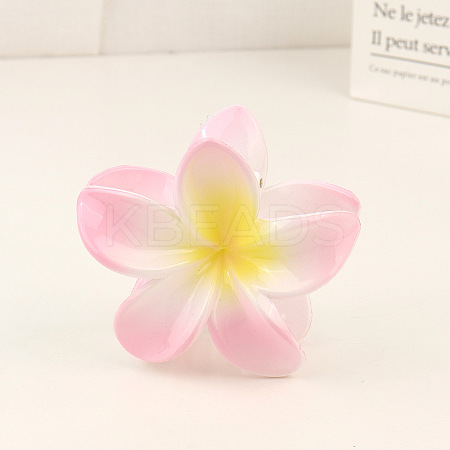 Plastic Claw Hair Clip LS-OHAR-PW0003-036F-1