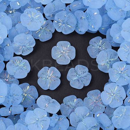 Frosted Transparent Acrylic Beads X1-OACR-P029-19B-01-1