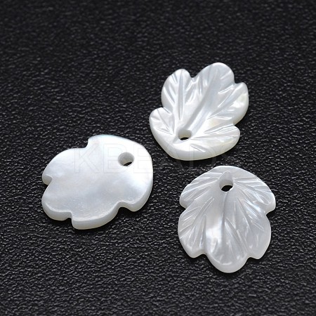 Leaf Natural White Shell Mother of Pearl Shell Charms SSHEL-E553-69-1