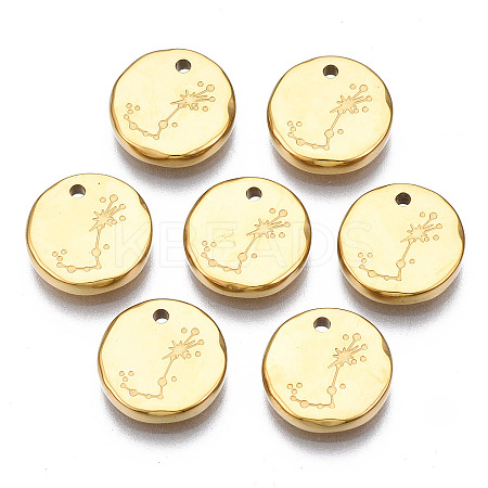 316 Surgical Stainless Steel Charms LS-STAS-S116-418J-G-1