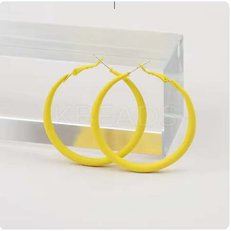 Spray Painted Alloy Hoop Earrings FS-WG43B6B-07-1