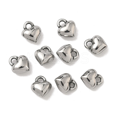 316 Surgical Stainless Steel Charms STAS-L307-15P-1