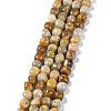 Natural Fossil Coral Beads Strands G-C038-02T-1