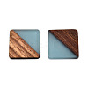 Resin & Walnut Wood Cabochons RESI-S358-90F-1