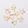 304 Stainless Steel Charms STAS-L234-095G-1