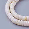Natural Shell Beads Strands X-SSHEL-E571-49I-1