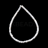 Natural Freshwater Shell Beads Strands SH-CBA2978-21C-3