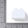 Opaque Resin Cabochons RESI-Z033-03D-3