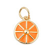 Brass with Enamel Charms LS-KK-Q096-16B-G-1