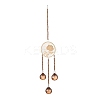 Flat Round & Rose Hanging Crystal Chandelier Pendant LS-HJEW-M002-03-1