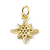 Brass Micro Pave Cubic Zirconia Charms LS-ZIRC-F132-02G-2