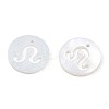Natural Freshwater Shell Charms SHEL-N027-10D-3