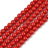 Dyed Shell Pearl Beads Strands BSHE-XCP0001-09-1