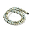 Natural Rainbow Alashan Agate Beads Strands G-NH0022-A01-01-3