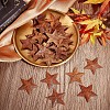 Rust Iron Pendants LS-IFIN-WH0065-16A-5