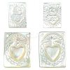 4Pcs 2 Styles Natural White Shell Mother of Pearl Shell Pendants SHEL-CJ0001-37-1