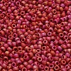 TOHO 6/0 Round Beads SEED-XTR06-0768-4