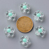 Transparent Acrylic Beads TACR-S152-06A-SS2111-3