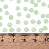 FGB Frosted Transparent Glass Seed Beads SEED-N013-02A-08-4